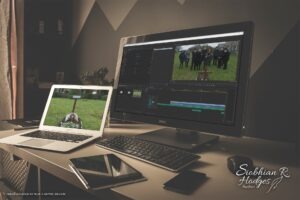 Adobe After Effects and Premier Pro - Michael Webster Graphic Designer