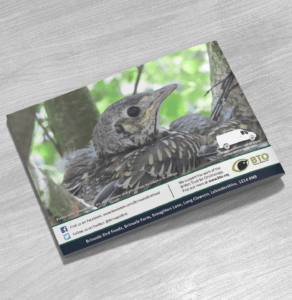 Brinvale Bird Foods Catalogue - Michael Webster Graphic Designer