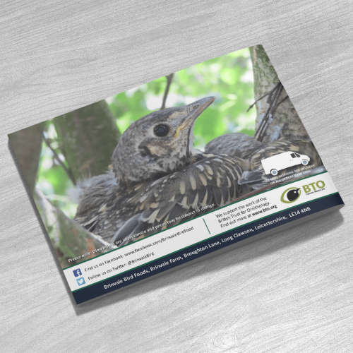 Brinvale Bird Foods Catalogue - Michael Webster Graphic Designer